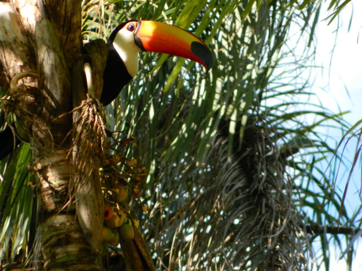 Pousada Fazenda Peroba Rosa Pedregulho 外观 照片